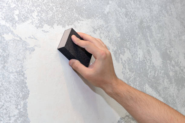 Best Basement Mold Removal  in Ford City, CA