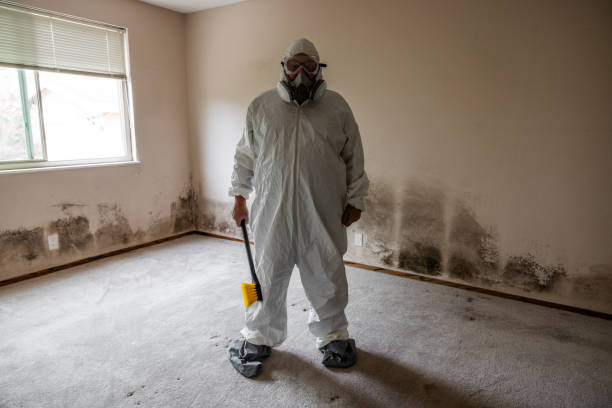 Best HVAC Mold Inspection and Cleaning  in Ford City, CA